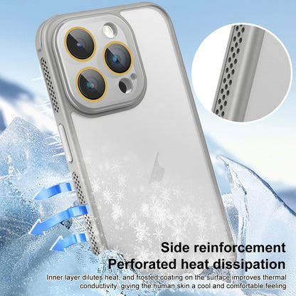 For iPhone 16 Pro Max Side Cooling Skin Feel Frosted Phone Case(Blue) - iPhone 16 Pro Max Cases by buy2fix | Online Shopping UK | buy2fix