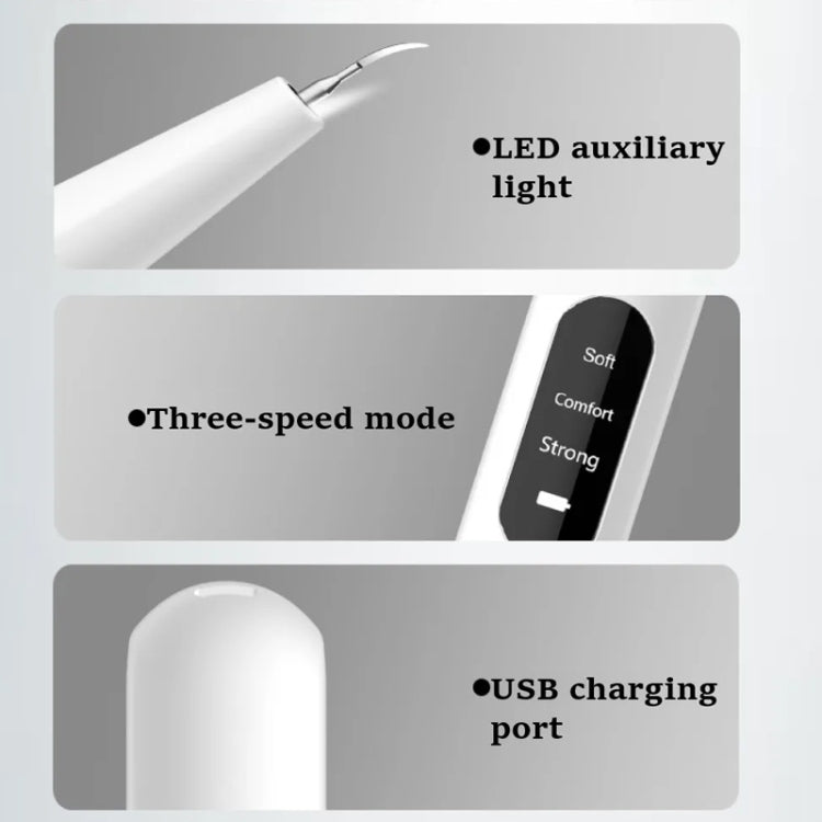 Ultrasonic Electric Dental Scaler Teeth Plaque Cleaner Dental Stone Removal With LED Light, Spec: Pacakge B with Accessories - Teeth Whitening by buy2fix | Online Shopping UK | buy2fix