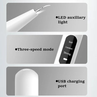 Ultrasonic Electric Dental Scaler Teeth Plaque Cleaner Dental Stone Removal With LED Light, Spec: Pacakge B with Accessories - Teeth Whitening by buy2fix | Online Shopping UK | buy2fix