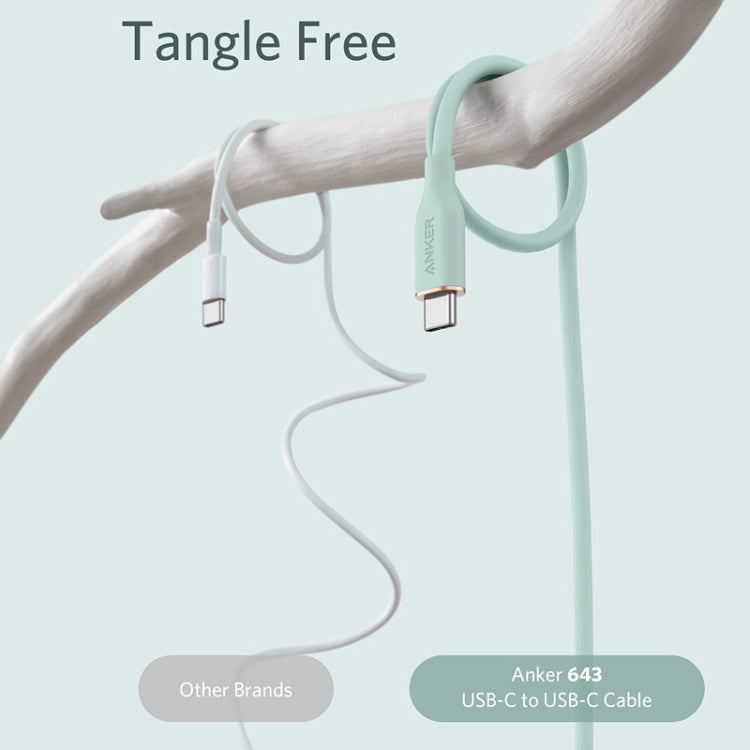 ANKER A8553 Powerline III 1.8m Skin Friendly Dual Type-C Data Cable PD100W Fast Charging Cable(Mint Green) - USB-C & Type-C Cable by ANKER | Online Shopping UK | buy2fix