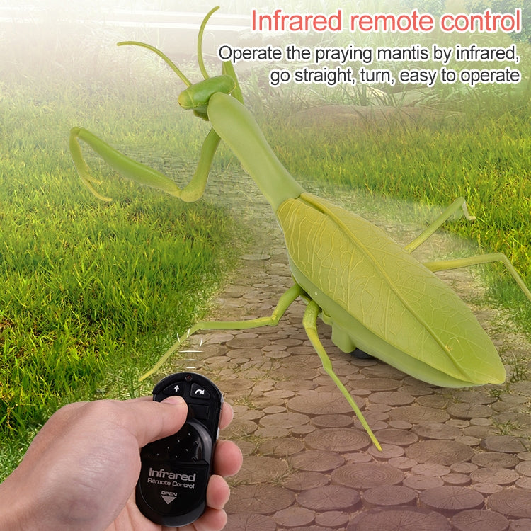 6661 Infrared Sensor Remote Control Simulated Praying Mantis Creative Children Electric Tricky Toy Model -  by buy2fix | Online Shopping UK | buy2fix