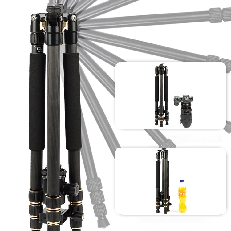 TRIOPO 853 Adjustable Portable Carbon Fiber Tripod with D2-A Ball Head for SLR Camera - Camera Accessories by TRIOPO | Online Shopping UK | buy2fix