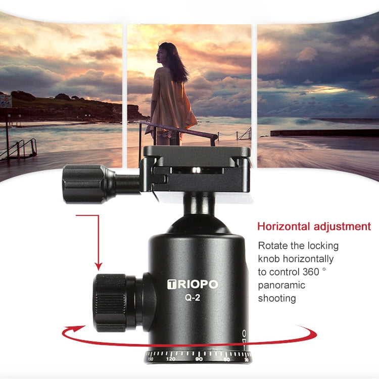 TRIOPO 888 Adjustable Portable Carbon Fiber Tripod with Q-2 Ball Head for SLR Camera, Pipe diameter: 28cm - Camera Accessories by TRIOPO | Online Shopping UK | buy2fix
