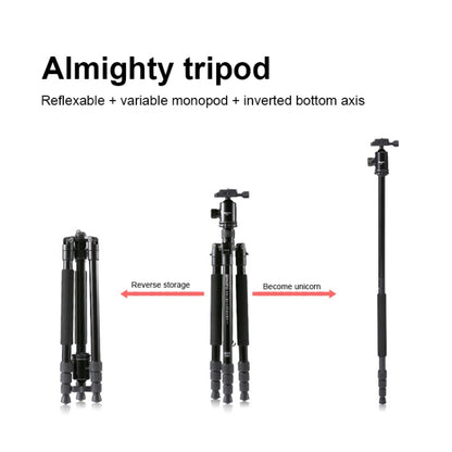 TRIOPO M2508 Multifunction Adjustable 4-Section Portable Aluminum Alloy Tripod Monopod with D-2A Ball Head for SLR Camera - Tripods by TRIOPO | Online Shopping UK | buy2fix