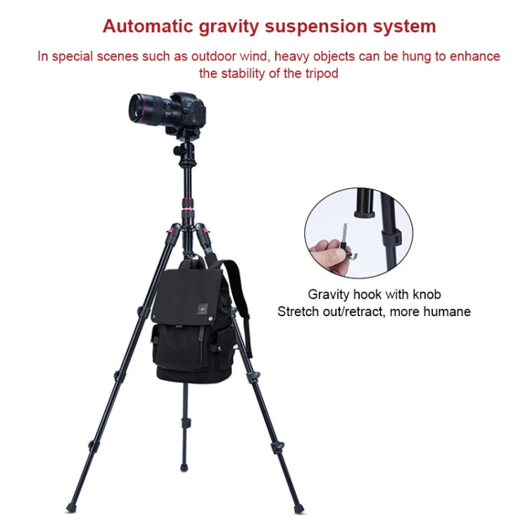 TRIOPO K2508S+B1S Adjustable Portable  Aluminum Alloy Tripod with Ball Head for SLR Camera(Gold) - Tripods by TRIOPO | Online Shopping UK | buy2fix