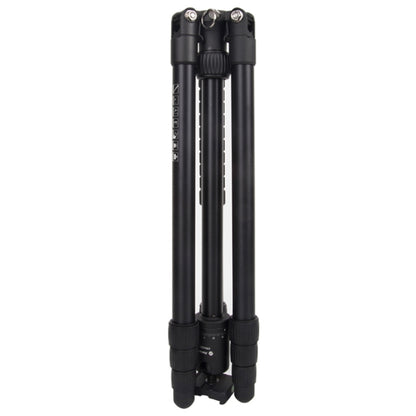 Fotopro X-go Predator E Portable Collapsible Aluminum Camera Tripod  with Dual Action Ball Head - Tripods by Fotopro | Online Shopping UK | buy2fix