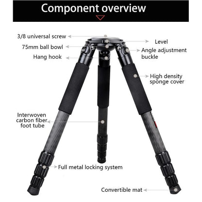 BEXIN ST364C Rugged Camcorder Photographic Carbon Fiber Big Tripod, Max Tube: 36mm - Camera Accessories by BEXIN | Online Shopping UK | buy2fix