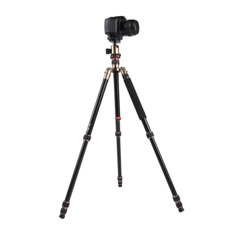 Triopo MT-2504C Adjustable Portable Aluminum Tripod (Gold) with NB-1S Ball Head (Black) for Canon Nikon Sony DSLR Camera - Camera Accessories by TRIOPO | Online Shopping UK | buy2fix