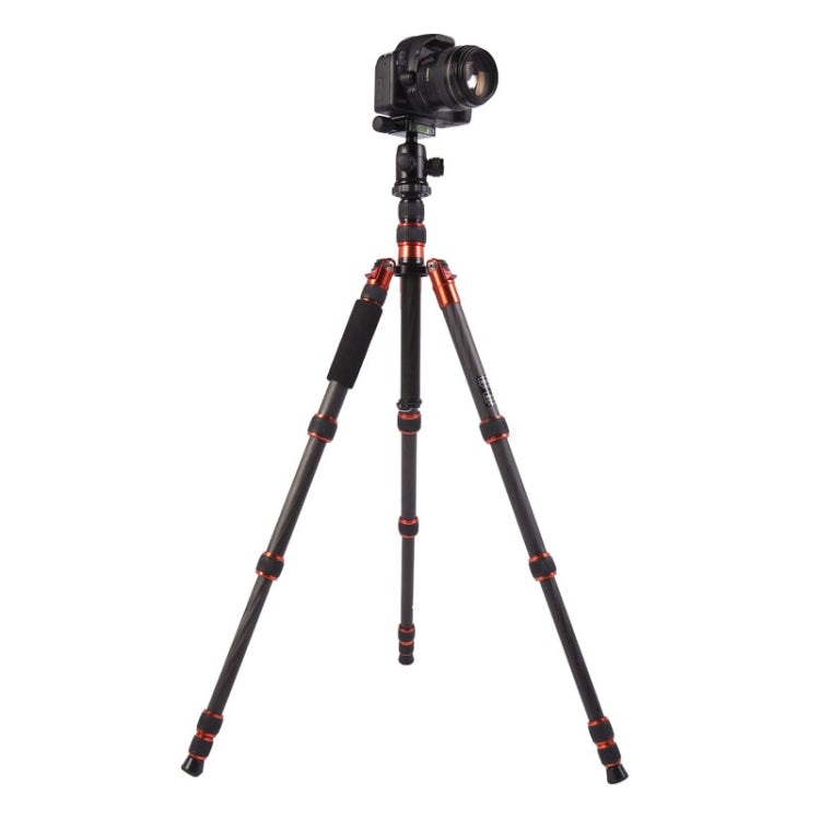 Triopo GT-2505x8.C Adjustable Portable Carbon Fiber Tripod with B-1 Aluminum Ball Head for Canon Nikon Sony DSLR Camera(Black) - Camera Accessories by TRIOPO | Online Shopping UK | buy2fix