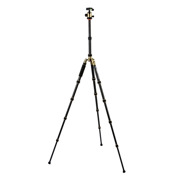 Triopo GT-2505x8.C Adjustable Portable Carbon Fiber Tripod (Gold) with B-1 Aluminum Ball Head (Black) for Canon Nikon Sony DSLR Camera - Camera Accessories by TRIOPO | Online Shopping UK | buy2fix