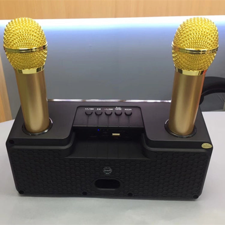 SDRD SD-301 2 in 1 Family KTV Portable Wireless Live Dual Microphone + Bluetooth Speaker(Black) - Consumer Electronics by SDRD | Online Shopping UK | buy2fix